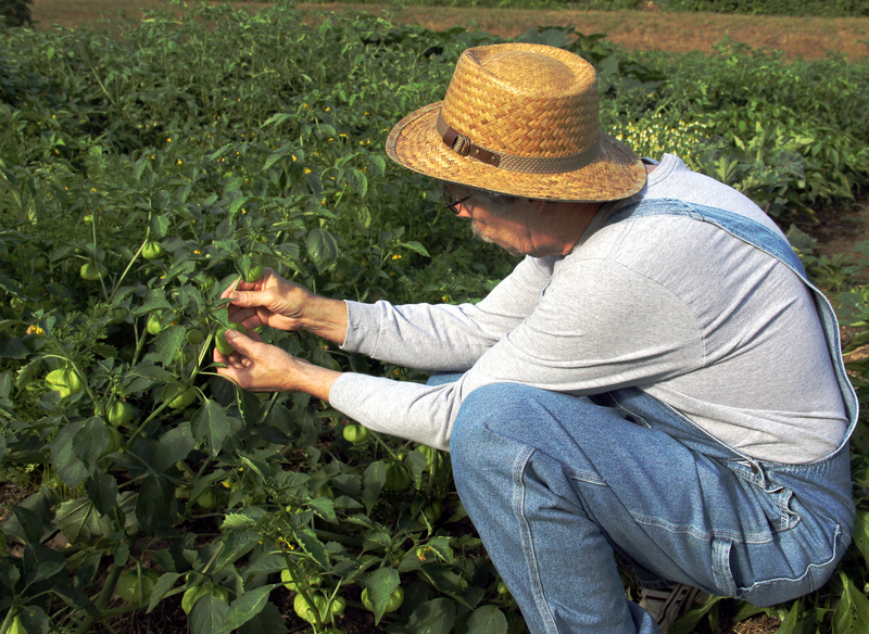 working the field